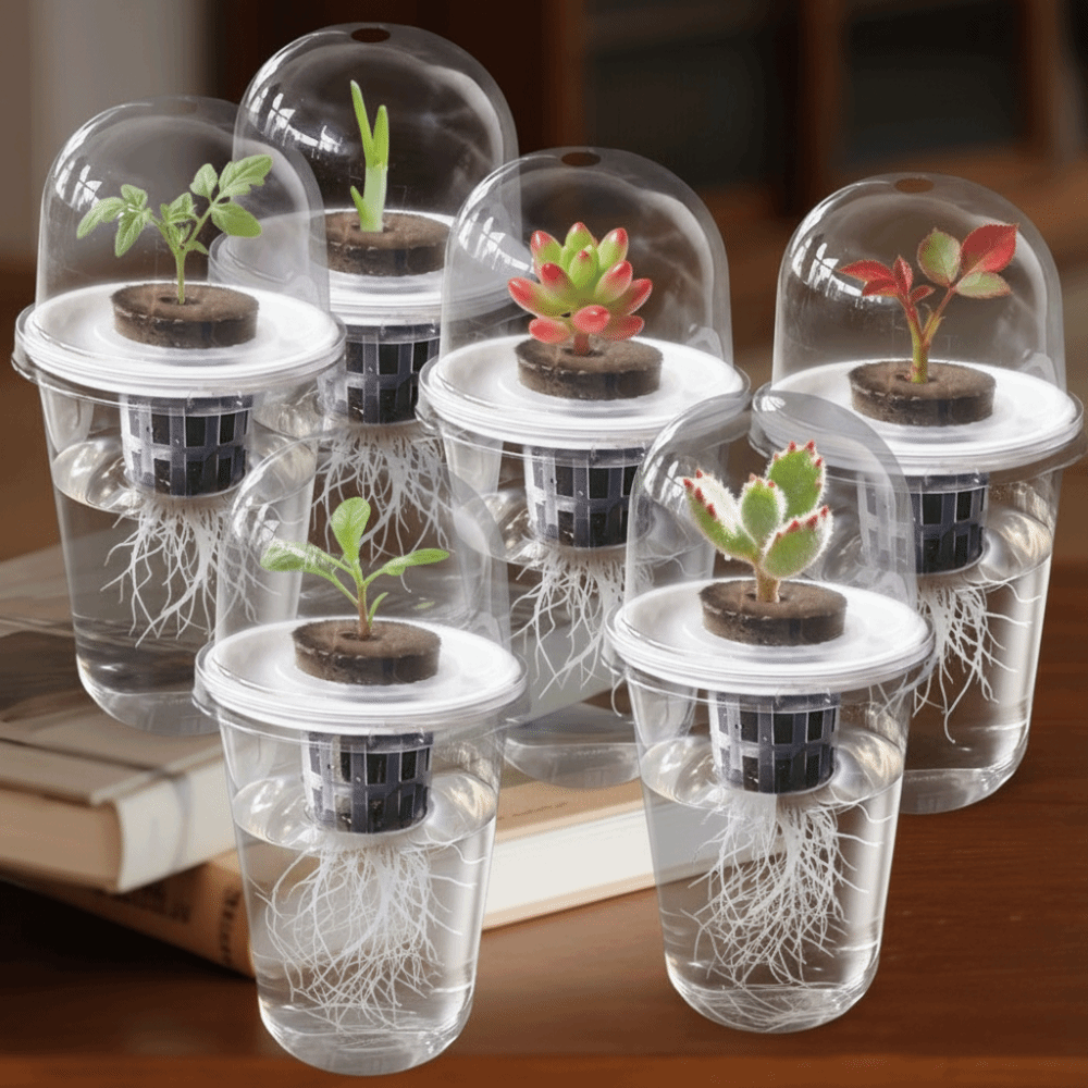Seed Starter Tray - 1-5 adet Görünür Şeffaf Bitki Çimlendirme