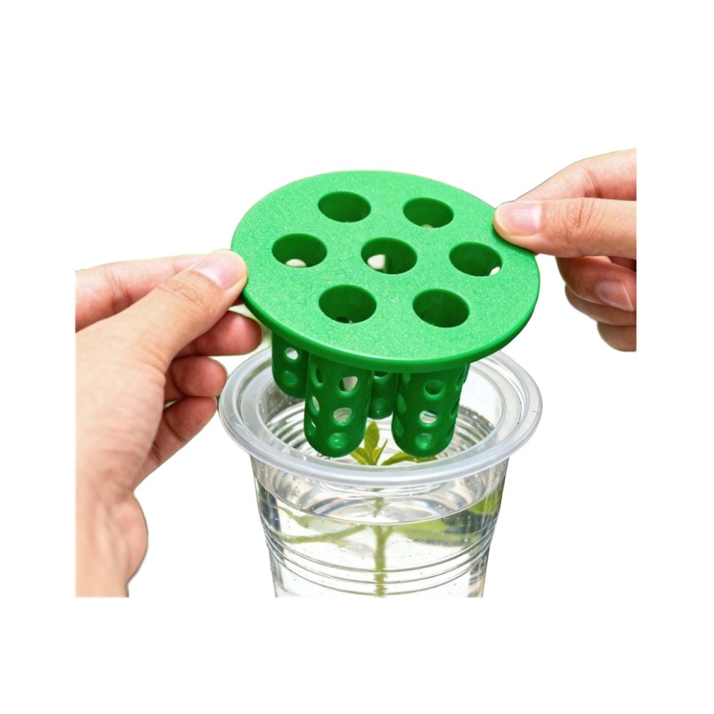 Hydroponic Kit - 4 adet Yeşil Soğan Yeniden Yetiştirme