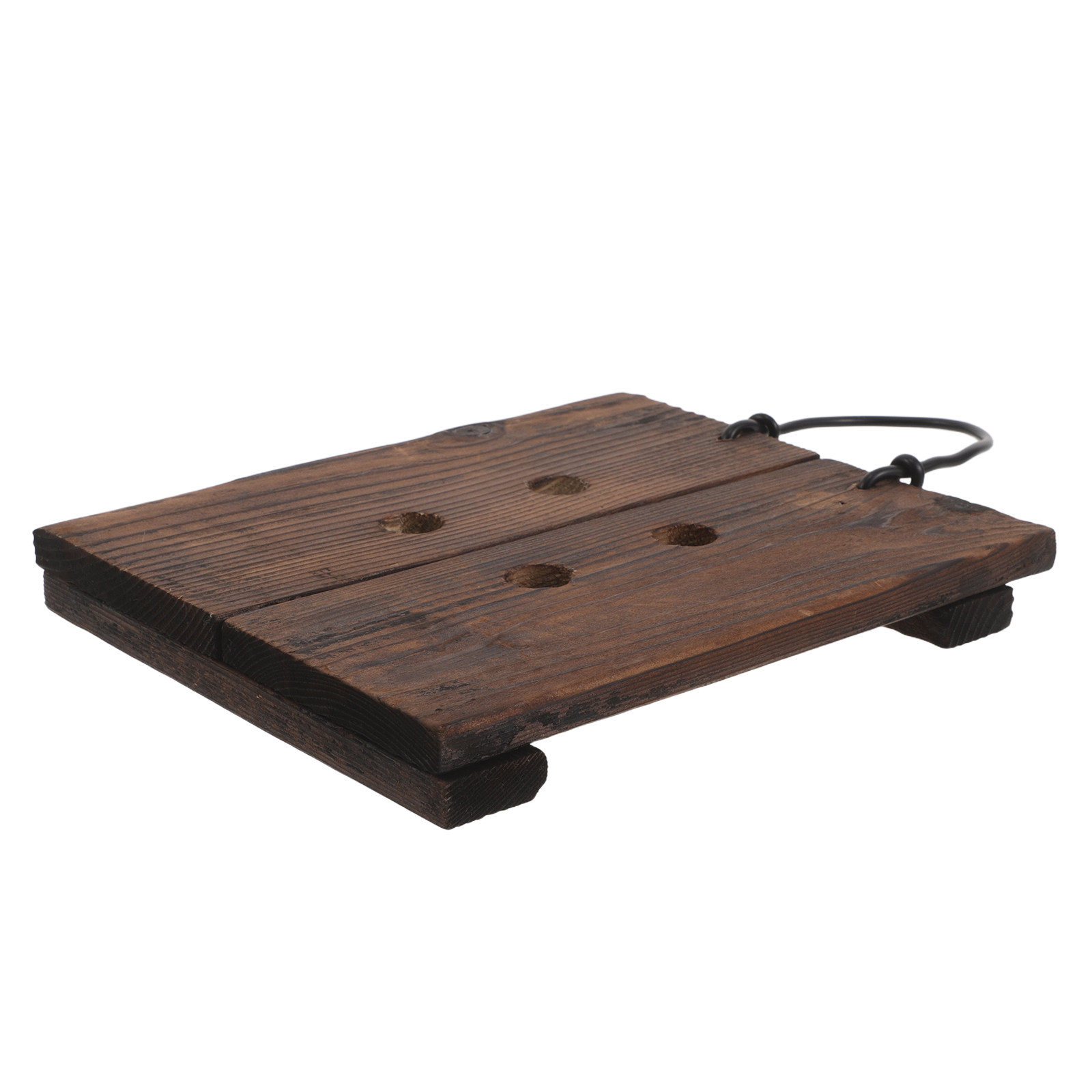 Vertical Planter - Geyik Boynuzu Şeklindeki Eğrelti Otu Montaj