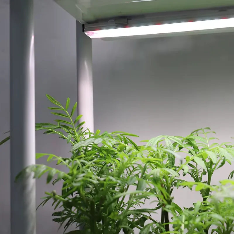 Hareketli Dikey 3 Katlı Kendi  - Vertical Planter incelemesi ve fiyatı