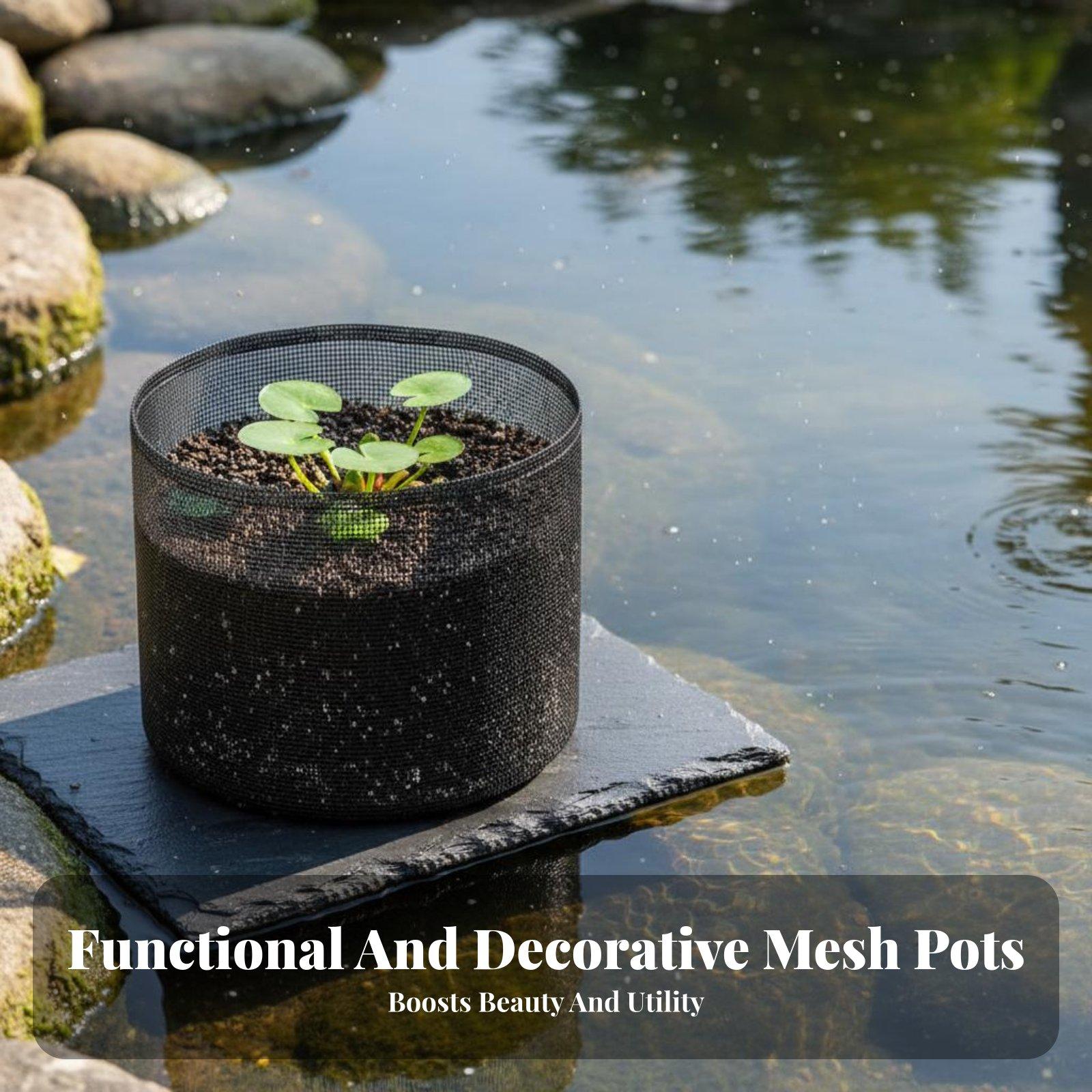 4 Parçalı Nilüfer Bitki Saksıl - Plant Pot incelemesi ve fiyatı