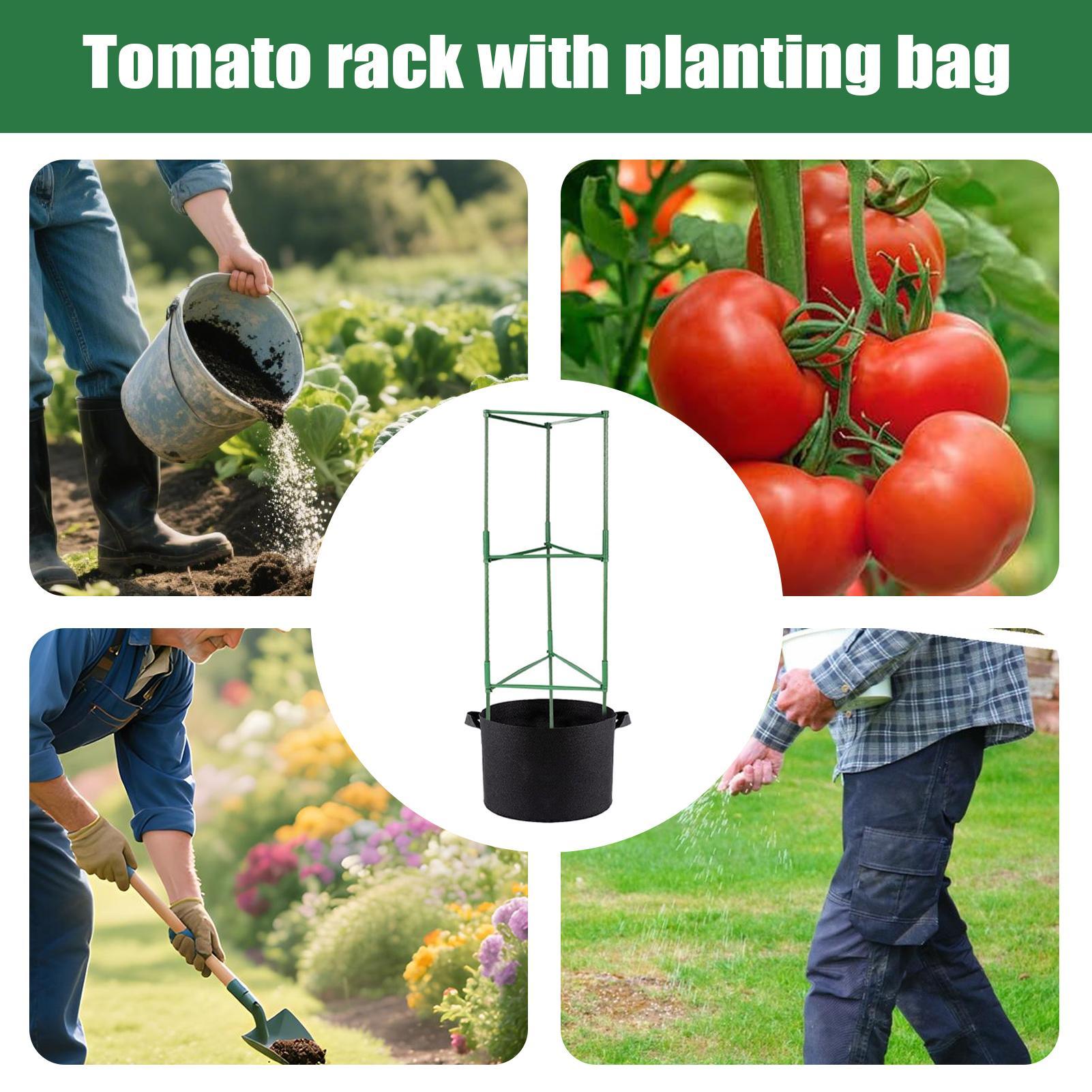 Domates Kafesi Bahçe Tırmanıcı - Grow Bag incelemesi ve fiyatı
