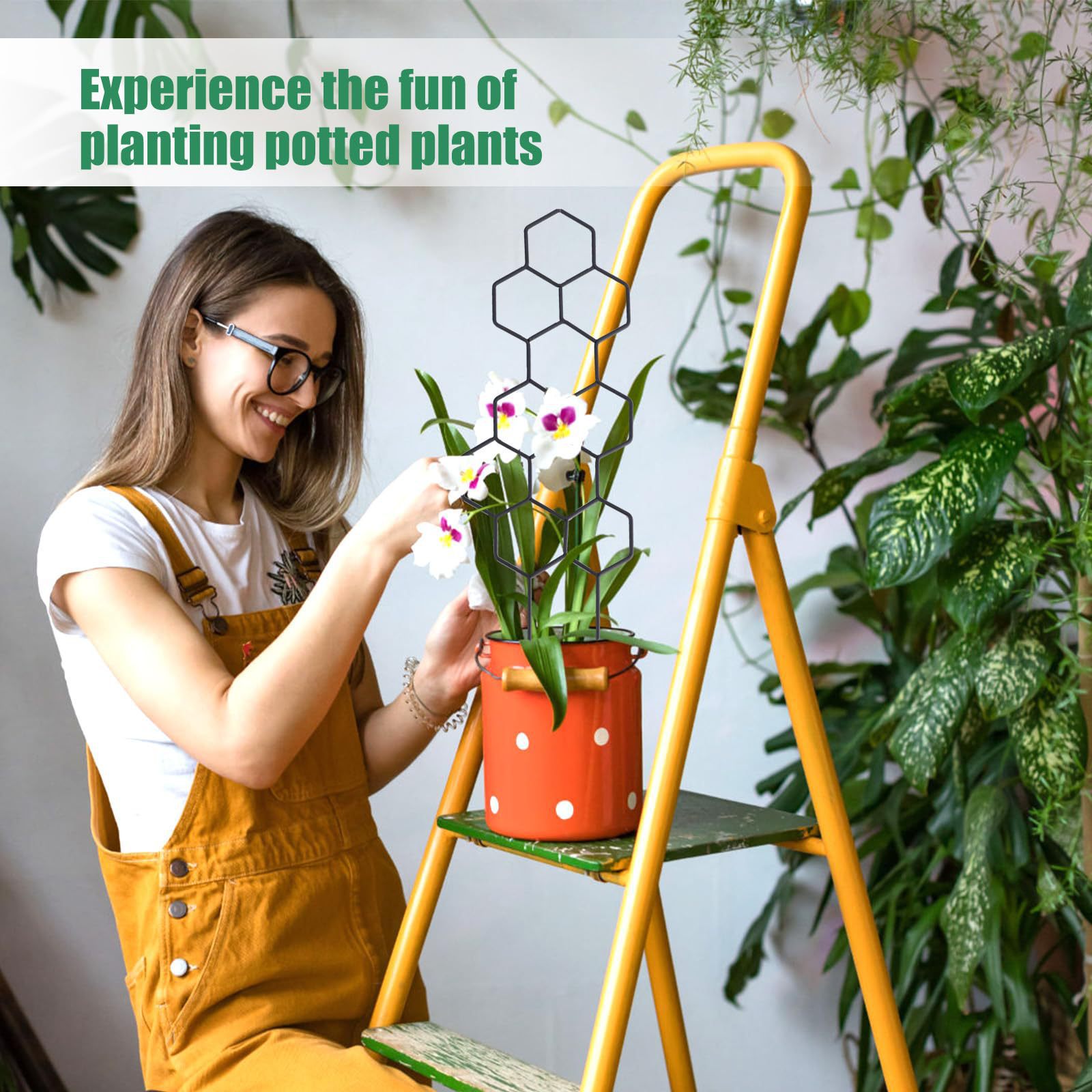1 adet petek tasarımlı bitki k - Indoor Herb Garden incelemesi ve fiyatı